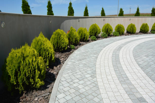 Reasons to Select Us for Your Driveway Paving Requirements in Castaic, CA